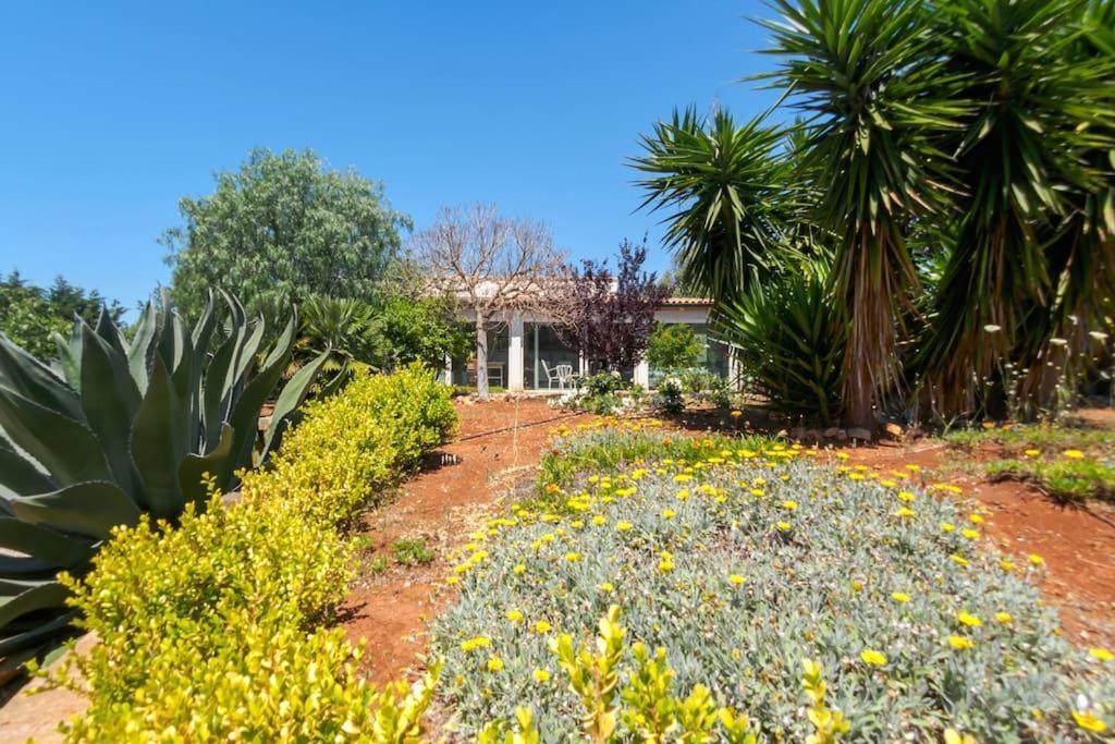 Casa Dei Limoni Villa Torre Vado Bagian luar foto